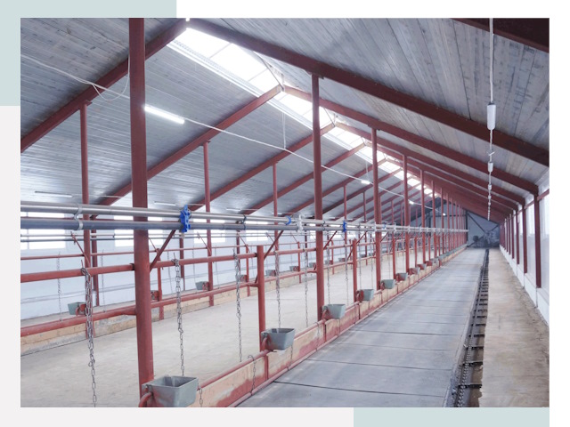 Строительство коровников в Гулькевичах от 622 руб.