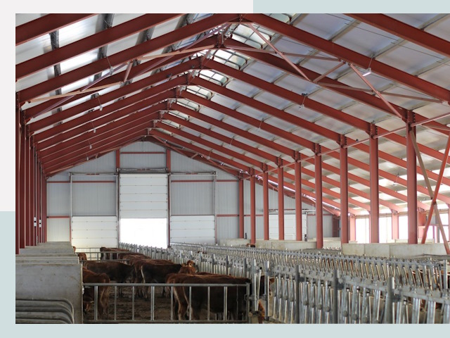 Строительство коровников в Гулькевичах