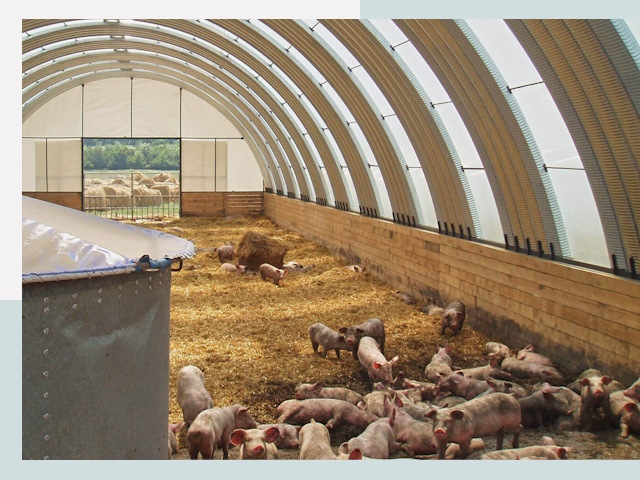 Строительство свинарников в Гулькевичах